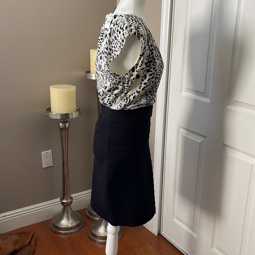 Express Dress - Picture 2 of 6